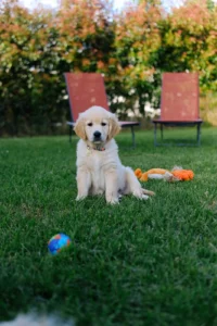 Semaine 16