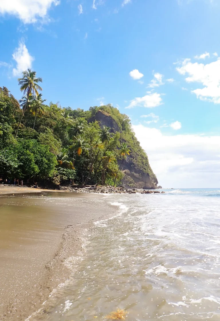 Martinique, la vie en grand