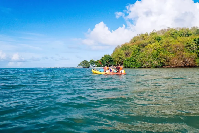 Martinique, la vie en grand