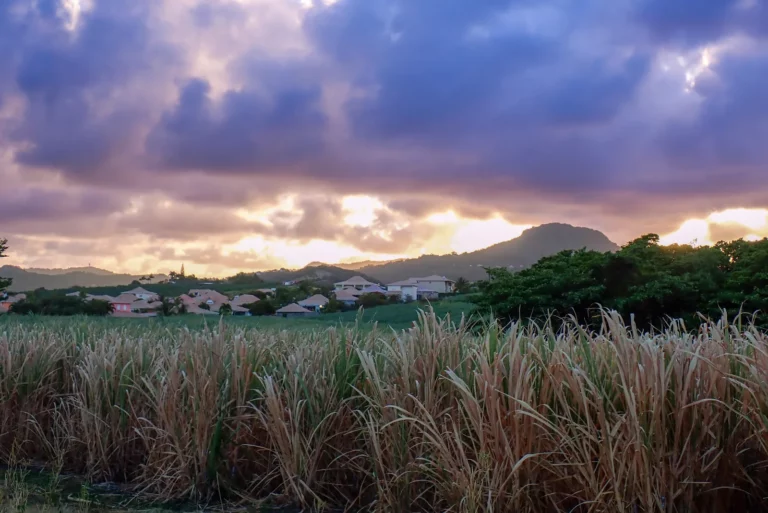 Martinique, la vie en grand