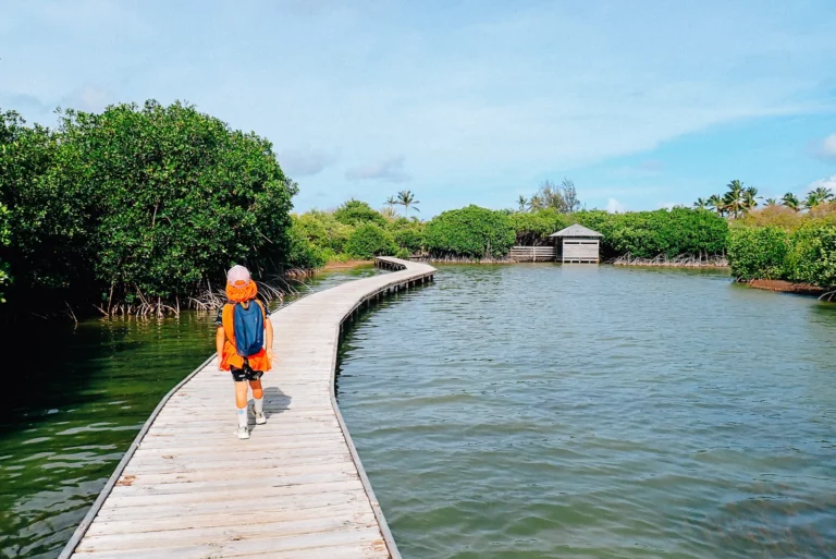 Martinique, la vie en grand
