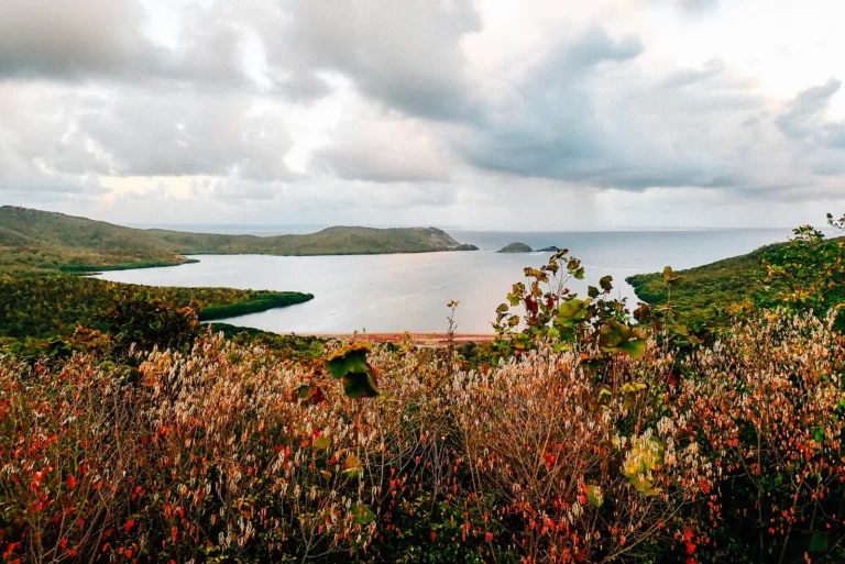 Martinique, la vie en grand